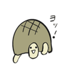 カメさん20190620（個別スタンプ：1）