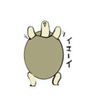 カメさん20190620（個別スタンプ：3）