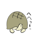 カメさん20190620（個別スタンプ：5）