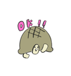 カメさん20190620（個別スタンプ：8）