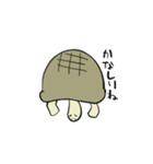 カメさん20190620（個別スタンプ：13）