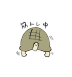 カメさん20190620（個別スタンプ：17）