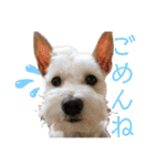 今日のすあま③（個別スタンプ：2）