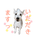 今日のすあま③（個別スタンプ：3）