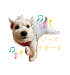 今日のすあま③（個別スタンプ：5）