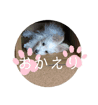 今日のすあま③（個別スタンプ：6）