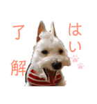 今日のすあま③（個別スタンプ：9）