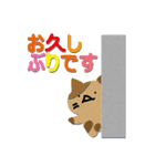 ねこばかりの基本セット（個別スタンプ：24）