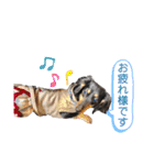 べるたんの日常4（個別スタンプ：2）