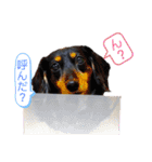 べるたんの日常4（個別スタンプ：3）