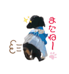 べるたんの日常4（個別スタンプ：4）