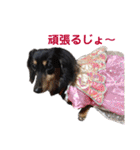 べるたんの日常4（個別スタンプ：14）