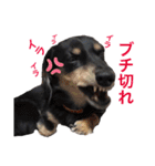 べるたんの日常4（個別スタンプ：15）