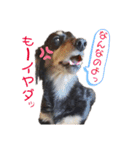 べるたんの日常4（個別スタンプ：16）