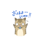 我が家のねこさん達 ver.1（個別スタンプ：1）