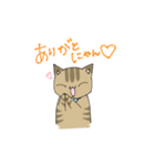 我が家のねこさん達 ver.1（個別スタンプ：9）