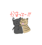 我が家のねこさん達 ver.1（個別スタンプ：13）
