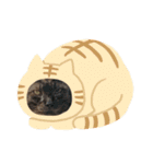 Mizuno Family Pet.（個別スタンプ：4）