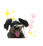 aimaL（個別スタンプ：6）