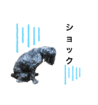 aimaL（個別スタンプ：12）