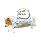おっとりゆったりQ太郎！part 2（個別スタンプ：3）