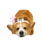 おっとりゆったりQ太郎！part 2（個別スタンプ：6）