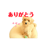 ルーのスタンプ02（個別スタンプ：2）