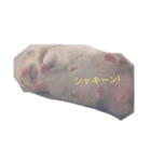 ハムちゃん！日常会話（個別スタンプ：8）