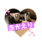 三太と助六（個別スタンプ：1）