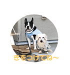 三太と助六（個別スタンプ：4）