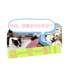 三太と助六（個別スタンプ：5）