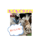 三太と助六（個別スタンプ：6）