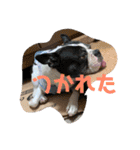 三太と助六（個別スタンプ：9）