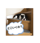 三太と助六（個別スタンプ：12）