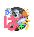 三太と助六（個別スタンプ：13）