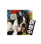 三太と助六（個別スタンプ：14）