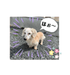 三太と助六（個別スタンプ：16）
