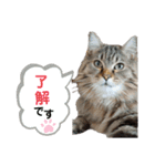ライルのスタンプ（個別スタンプ：2）