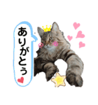 ライルのスタンプ（個別スタンプ：4）