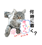 ライルのスタンプ（個別スタンプ：6）