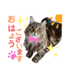 ライルのスタンプ（個別スタンプ：12）