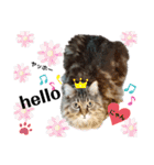 ライルのスタンプ（個別スタンプ：15）