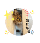 ライルのスタンプ（個別スタンプ：19）