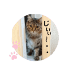 ライルのスタンプ（個別スタンプ：20）