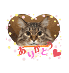 ライルのスタンプ（個別スタンプ：24）