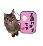 ライルのスタンプ（個別スタンプ：30）