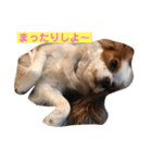 キャミーU^ェ^U（個別スタンプ：4）