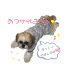 小太郎のあいさつ3❤︎"（個別スタンプ：1）