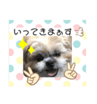 小太郎のあいさつ3❤︎"（個別スタンプ：4）