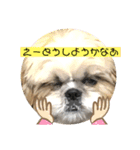 小太郎のあいさつ3❤︎"（個別スタンプ：5）